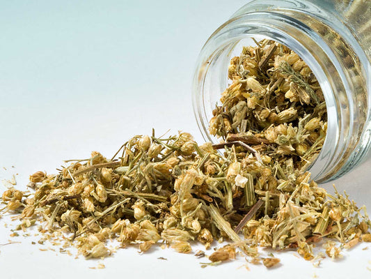 Cickafarkfű 20g